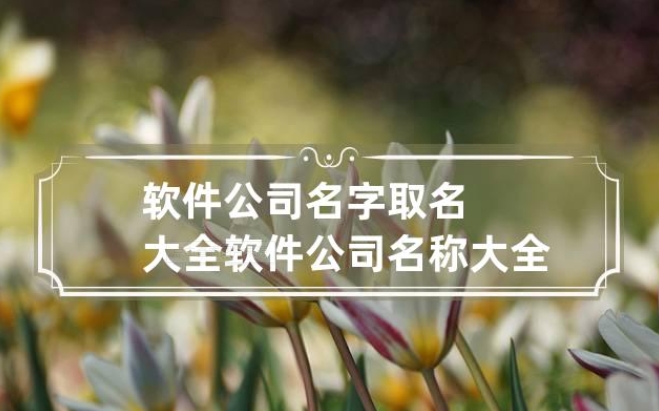 泰安软件公司名叫什么好听易记